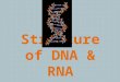 Structure of DNA & RNA. DNA  Deoxyribose Nucleic Acid  Double Helix  Twisted Ladder