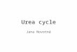 Urea cycle Jana Novotná. Amino acid oxidation and the production of urea Waste or reuse Oxidation