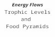 Energy Flows Trophic Levels and Food Pyramids. Autotrophs A groups of organisms that can use the energy in sunlight to convert water and carbon dioxide