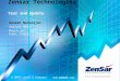 Zensar Technologies Year end Update Ganesh Natarajan Analyst Meet March 26 th, 2007 Pune, India A CMMI Level 5 Company 