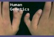 Human Genetics. I. Mutations= changes in DNA a. Germ Cell Mutations– occurs during meiosis; takes place in sex cells b. Somatic Mutations - take place