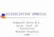 DISSOCIATIVE AMNESIA Homayoun Amini M.D. Assis. Prof. of Psychiatry Roozbeh Hospital TUMS
