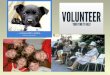HELP. A VOLUNTEER A person who helps without any money Добровольный помощник, волонтер VOLUNTARY Work without any money Добровольная помощь