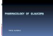 TARIQ ALASBALI. Glaucoma: Treatment Goal “The goal of glaucoma treatment is to preserve the visual field of patients and prevent the loss of visual function