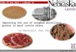 Know how. Know now. SICNA 29 Aug 2013 – Lubbock TX Improving the use of sorghum distillers grains in beef cattle diets Jim MacDonald, PhD, PAS