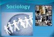What is Sociology? A social science discipline that looks at the development and structure of human society (institutions) and how they work