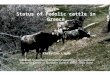 Status of Podolic cattle in Greece Christina Ligda National Agricultural Research Foundation, Agricultural Research Centre of Northern Greece, Greek Gene