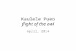 Kaulele Pueo flight of the owl April, 2014. History