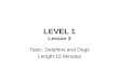 LEVEL 1 Lesson 3 Topic: Dolphins and Dogs Length:15 Minutes
