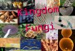 KingdomFungi 1. Fungi are important decomposers in the environment 3