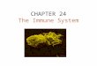 CHAPTER 24 The Immune System Pathogens Disease causing agents such as bacteria, viruses, fungi, protozoans, and other parasites. ( NOT all microorganisms