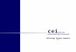 Center for cei Entrepreneurship & Innovation Technology Venture Sequence 9/6/05