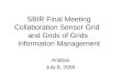 SBIR Final Meeting Collaboration Sensor Grid and Grids of Grids Information Management Anabas July 8, 2008
