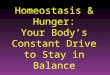 Homeostasis & Hunger: Your Body’s Constant Drive to Stay in Balance