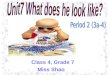 Class 4, Grade 7 Miss Shao. What does he look like? ort. He is short. He is of medium height He is tall ort short medium height tall