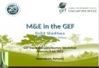 M&E in the GEF.  RBM, Monitoring & Evaluation  M&E in the GEF  M&E Levels and Responsible Agencies  M&E Policy  Minimum Requirements  Role of the