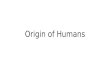 Origin of Humans. Where?What? Who? Eastern AfricaDonald Johanson Australopithecus Afarensis