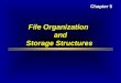 File Organization and Storage Structures Chapter 5