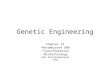 Genetic Engineering Chapter 13 Recombinant DNA Transformation Biotechnology Gel Electrophoresis PCR