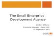 The Small Enterprise Development Agency Lindani Dhlomo Provincial Manager – Seda KZN 01 September 2010
