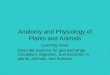 Anatomy and Physiology of Plants and Animals Learning Goal Describe systems for gas exchange, circulation, digestion, and excretion in plants, animals,