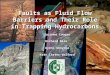 Faults as Fluid Flow Barriers and Their Role in Trapping Hydrocarbons Suzanne Coogan Richard Nice Ayeni Gboyega Kate Carter-Walford