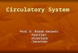 Circulatory System Part 3: Blood Vessels - function - structure -location