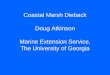 Coastal Marsh Dieback Doug Atkinson Marine Extension Service, The University of Georgia