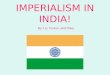 IMPERIALISM IN INDIA! By: Liz, Connor, and Drew. Motivation for Imperialism India had a lot of natural resources, such as tea, indigo, coffee, cotton,