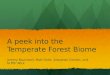 A peek into the Temperate Forest Biome Jeremy Baumwell, Matt Delie, Sebastian Gordon, and Griffin Wick