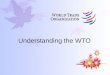 Understanding the WTO. Chapter 1 BASICS §1 What is the World Trade Organization? Simply put: the World Trade Organization (WTO) deals with the rules of