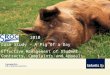 2010 Case Study – A Pig of a Day Effective Management of Student Contracts, Complaints and Appeals