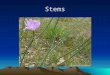 Stems. Stems A stem is the other structural axis for the plant after roots. It is composed of nodes and internodes. Nodes hold buds which can grow into