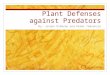 Plant Defenses against Predators By: Jordan DiNardo and Kimmi Tamashiro