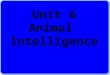 Unit 6 Animal Intelligence. Part I Before ReadingBefore Reading Part II Detailed ReadingDetailed Reading Part III After ReadingAfter Reading Part IV AssignmentsAssignments