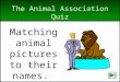 The Animal Association Quiz Matching animal pictures to their names. next