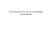 Classification of Tissues (Histology) Study Guide