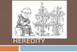 MENDEL & HEREDITY. Are You Ready For This? Can You…  Define the term gamete.  Summarize the relationship between chromosomes and genes?  Differentiate