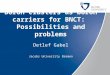 Welcome to Jacobs University Bremen Presenter Name | Meeting | Date Boron clusters as boron carriers for BNCT: Possibilities and problems Detlef Gabel