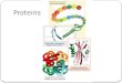 Proteins!. Proteins Proteins account for more than 50% of the dry mass of most cells Monomer: amino acids 20 amino acids used in cells Central carbon