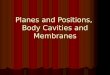 Planes and Positions, Body Cavities and Membranes