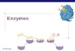AP Biology Enzymes. AP Biology Enzymes  Biological catalysts  Catalysts – speed up reactions (not all catalysts are enzymes)  Enzymes are proteins