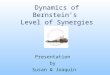 Dynamics of Bernstein’s Level of Synergies Presentation by Susan & Joaquin