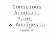 Conscious Arousal, Pain, & Analgesia Lesson 16. States of Consciousness/Arousal A. Classical Sensory Afferents u CSA B. Thalamus C. Ascending Reticular