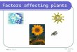 Factors affecting plants Kim Lachler 2010 NCES 6 L 2.2