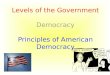 Levels of the Government Democracy Principles of American Democracy