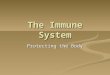 The Immune System Protecting the Body. First Line of Defence The skin keeps out bacteria and viruses The skin keeps out bacteria and viruses Acidic oils