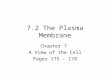 7.2 The Plasma Membrane Chapter 7 A View of the Cell Pages 175 - 178
