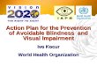 Action Plan for the Prevention of Avoidable Blindness and Visual Impairment Ivo Kocur World Health Organization