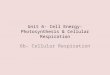 Unit 6- Cell Energy- Photosynthesis & Cellular Respiration 6b- Cellular Respiration